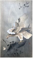 Eagle with Outspread Wings by Ohara Koson 