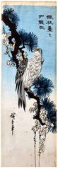Falcon on an Ivy-draped Pine Branch by Ando Hiroshige
