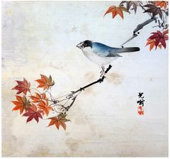 Finch on a Maple Branch by Lijima Koga