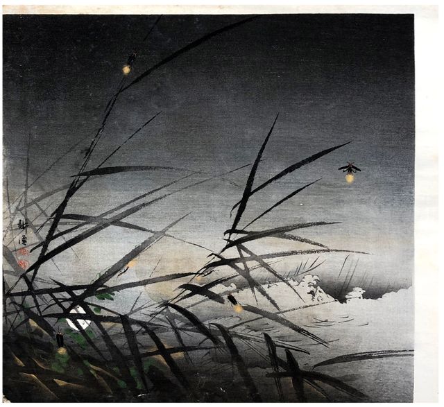 Fireflies Tsukioka Kogyo | Woodblock Prints World