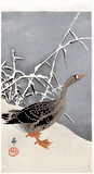 Goose and Reeds by Ohara Koson