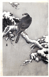 Goshawk on a Snow Covered Pine Branch by Ohara Koson