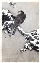 Goshawk on a Snow Covered Pine Branch by Ohara Koson