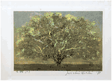 Great Tree (Small) by Joichi Hoshi
