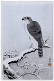 Hawk on Snow-Covered Branch by Ohara Koson