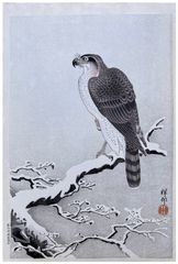 Hawk on Snow-Covered Branch by Ohara Koson