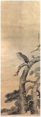 Hawk on Tree Branch Scroll by Hiroshige