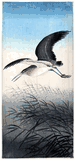 Heron in Flight with Reeds by Ohara Koson
