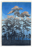 Hikawa Park at Omiya by Kawase Hasui