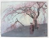 Kumoi Cherry Trees by Hiroshi Yoshida