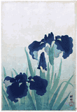 Irises by Ohara Koson