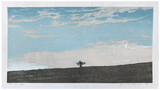 Landscape D by Joichi Hoshi