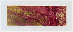 Red Branches by Joichi Hoshi
