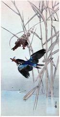 Kingfisher and Reeds by Yoshimoto Gesso