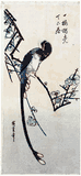 Long Tailed Bird on Flowering Plum Branch by Ando Hiroshige