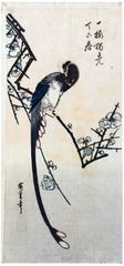 Long Tailed Bird on Flowering Plum Branch by Ando Hiroshige