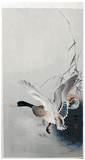 Mallard Flying from a Pond by Ohara Koson