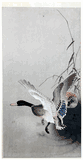 Mallard Flying from a Pond by Ohara Koson