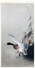 Mallard Flying from a Pond by Ohara Koson