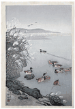 Mallards in Autumn by Ohara Koson