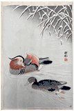 Mandarin Ducks in Snow by Ohara Koson