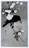Crow on a Cherry Branch by Ohara Koson 