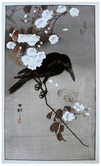 Crow on a Cherry Branch by Ohara Koson 