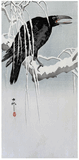 Crow on a Snowy Branch by Ohara Koson