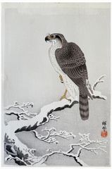 Hawk on a Snowy Branch by Ohara Koson