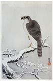 Hawk on a Snowy Branch by Ohara Koson