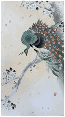 Peacock and Flowering Cherry by Ohara Koson