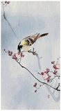 Songbird on Plum Blossom by Ohara Koson