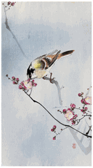Songbird on Plum Blossom by Ohara Koson