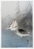 Two Bar-Tailed Godwits by Ohara Koson 