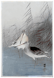 Two Bar-Tailed Godwits by Ohara Koson 