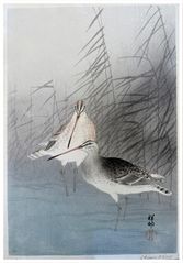 Two Bar-Tailed Godwits by Ohara Koson 