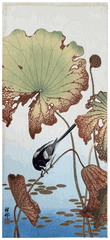 Wagtail and Lotus by Ohara Koson
