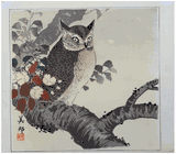 Owl and Cherry Blossoms by Takahashi Biho