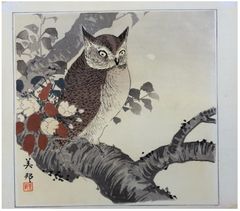 Owl and Cherry Blossoms by Takahashi Biho