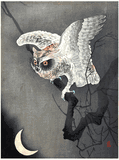 Owl and Moon by Ohara Koson