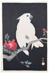 Parrot and Pomegranate by Ohara Koson