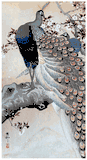 Peacock on a Branch by Ohara Koson