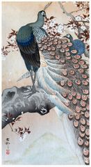 Peacock on a Branch by Ohara Koson