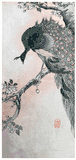 Peacock on Cherry Branch by Ohara Koson