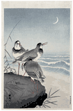 Plover near Seaside by Ohara Koson Pre WWII