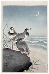 Plover near Seaside by Ohara Koson Pre WWII