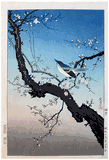 Plum Nightingale by Tsuchiya Koitsu