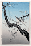 Plum Nightingale by Tsuchiya Koitsu 1st Ed.