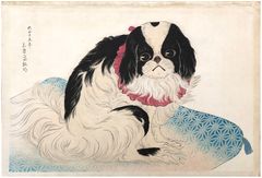 Pug in a Cushion by Shotei