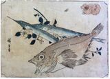Rockfish and Halfbeak by Ando Hiroshige